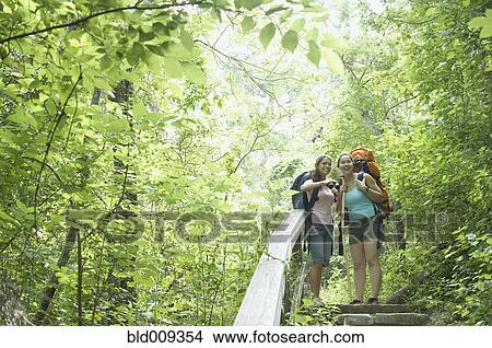 Young women hiking together in a forest View Large Photo Image Picture - Young women hiking together in a forest. Fotosearch