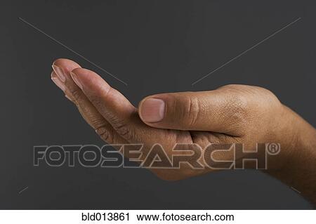 Close up of hand cupped View Large Photo Image Stock Image - Close up of hand cupped . Fotosearch