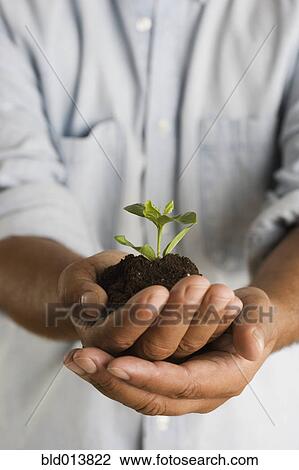Stock Image - Close up of hands holding mound of dirt and plant. Fotosearch