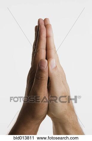 Close up of two hands in praying position View Large Photo Image Stock Image - Close up of two hands in praying position. Fotosearch