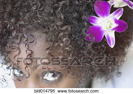 Close up of woman with flower in hair View Large Photo Image Stock Photography - Close up of woman with flower in hair. Fotosearch
