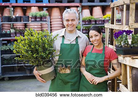 Hispanic couple working at garden center View Large Photo Image Stock Photograph - Hispanic couple working at garden center. Fotosearch