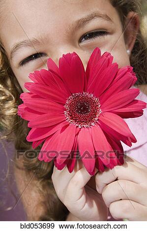 Hispanic girl holding flower View Large Photo Image Stock Photo - Hispanic girl holding flower. Fotosearch