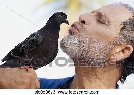 Man kissing bird View Large Photo Image Stock Image - Man kissing bird. Fotosearch