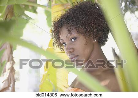 Portrait of woman in trees View Large Photo Image Stock Photograph - Portrait of woman in trees. Fotosearch