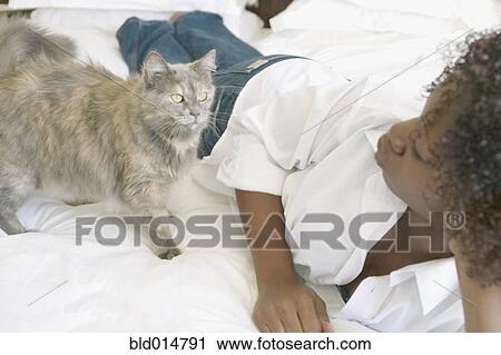 Woman laying on bed with cat View Large Photo Image Stock Image - Woman laying on bed with cat. Fotosearch
