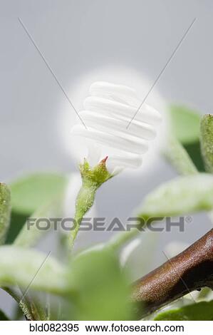 Stock Photography - CFL light bulb growing out of plant stem. Fotosearch