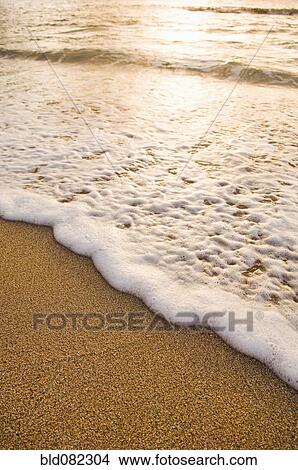 Picture - Foamy wave on beach. Fotosearch