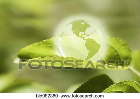 Stock Image - Glass globe resting on green leaf. Fotosearch
