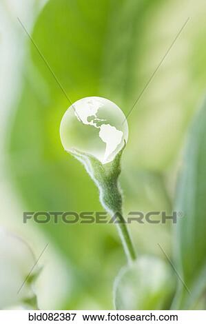 Glass globe resting on green stem View Large Photo Image Stock Photo - Glass globe resting on green stem. Fotosearch