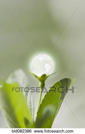 Stock Photograph - Glass globe resting on green stem. Fotosearch