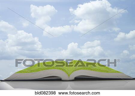 Green grass growing in pages of book View Large Photo Image Stock Photo - Green grass growing in pages of book. Fotosearch