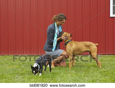 Stock Image - Kneeling mixed race woman petting dogs outdoors. Fotosearch