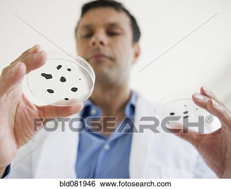 Stock Photograph - Mixed race researcher holding specimen in petri dish. Fotosearch