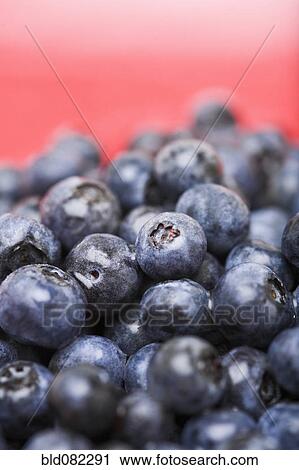 Stock Image - Pile of blueberries. Fotosearch