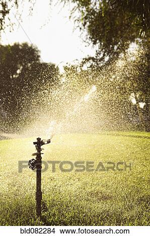 Picture - Sprinkler watering lawn. Fotosearch