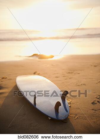 Surfboard laying on beach at sunset View Large Photo Image Stock Photograph - Surfboard laying on beach at sunset. Fotosearch
