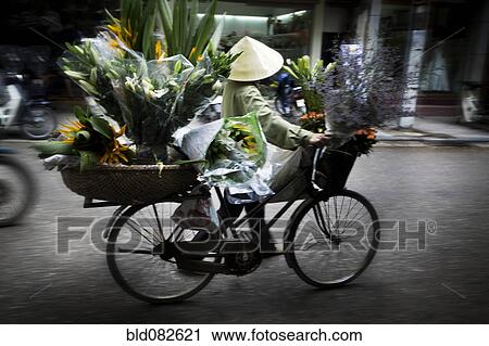 Stock Image - Vietnamese person carrying flowers on bicycle. Fotosearch