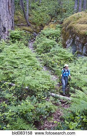 Stock Photo - Hispanic woman hiking in woods. Fotosearch