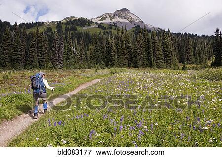 Stock Photo - Hispanic woman hiking near mountain. Fotosearch