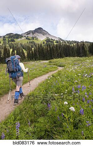 Stock Photograph - Hispanic woman hiking near mountain. Fotosearch