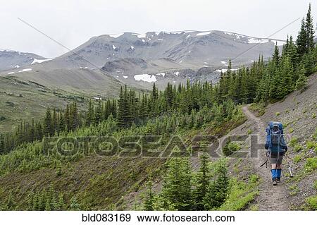 Hispanic woman hiking on path in woods View Large Photo Image Stock Photo - Hispanic woman hiking on path in woods. Fotosearch