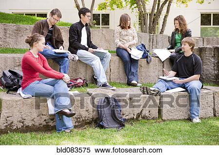 Stock Photography - Students studying together outdoors. Fotosearch