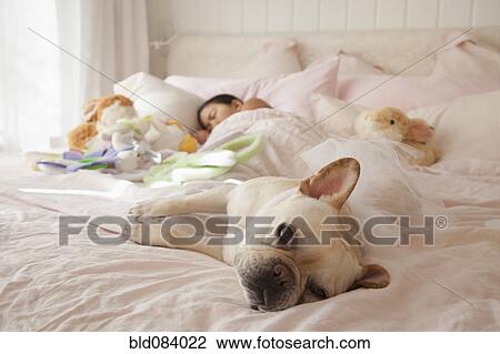Asian girl sleeping in bed with dog View Large Photo Image Stock Image - Asian girl sleeping in bed with dog. Fotosearch