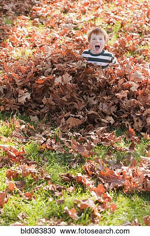 Caucasian boy playing in autumn leaves View Large Photo Image Stock Image - Caucasian boy playing in autumn leaves. Fotosearch