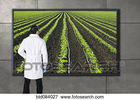 Stock Photo - Hispanic scientist looking at agricultural image on television screen. Fotosearch