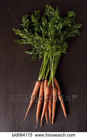 Stock Image - Bunch of carrots. Fotosearch