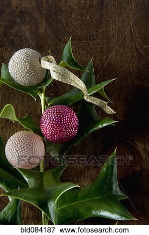 Stock Photo - Close up of artificial berries on holly branch. Fotosearch