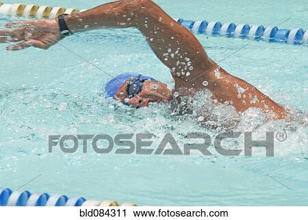 Stock Image - Hispanic man swimming in swimming pool. Fotosearch
