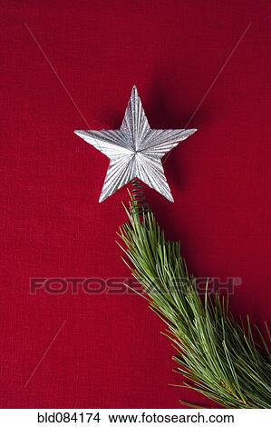 Silver star on branch of Christmas tree View Large Photo Image Picture - Silver star on branch of Christmas tree. Fotosearch