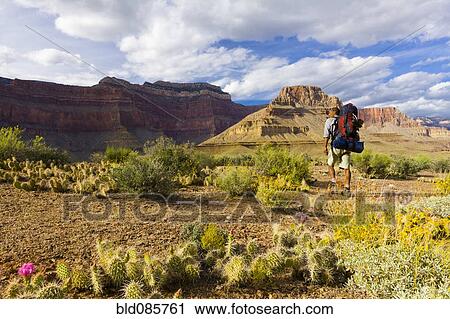 Black man hiking in canyon area View Large Photo Image Stock Image - Black man hiking in canyon area. Fotosearch