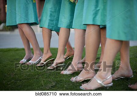 Stock Image - Bridesmaids legs in a row. Fotosearch