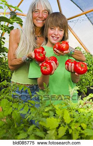 Stock Photography - Caucasian grandmother and grandson holding tomatoes in garden. Fotosearch