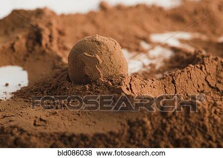 Chocolate ball in cocoa powder View Large Photo Image Stock Photo - Chocolate ball in cocoa powder. Fotosearch