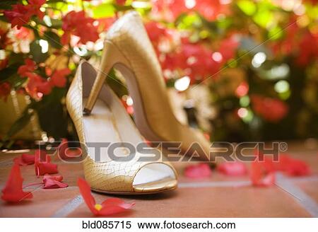 Stock Photography - Close up of elegant high heeled shoes. Fotosearch