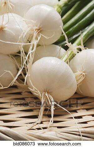 Stock Image - Close up of onions. Fotosearch
