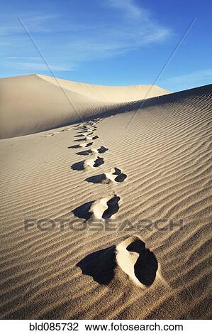 Stock Image - Footprints in sand on sand dune. Fotosearch