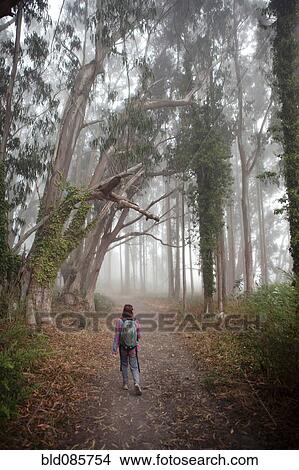 Picture - Korean woman in backpack walking in forest path. Fotosearch