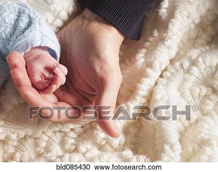 Stock Image - Large hand holding tiny newborn's hand. Fotosearch