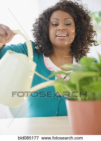 Stock Photo - African American woman watering plant. Fotosearch