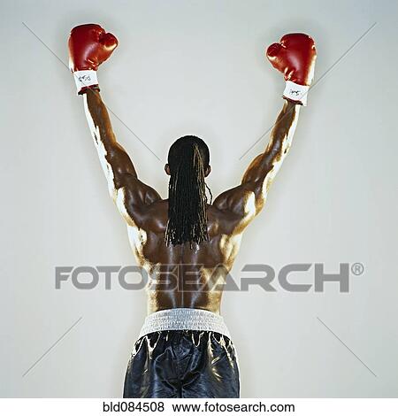Boxer standing with hands raised View Large Photo Image Stock Photo - Boxer standing with hands raised. Fotosearch
