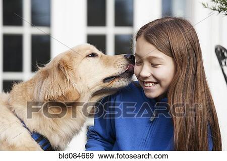 Golden retriever licking mixed race girl View Large Photo Image Stock Photo - Golden retriever licking mixed race girl. Fotosearch