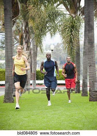People running in park together View Large Photo Image Stock Photography - People running in park together. Fotosearch