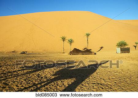 Stock Image - Shadow of camel on desert sand. Fotosearch