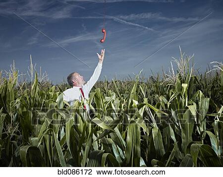 Stock Image - Caucasian businessman in corn field reaching for red telephone. Fotosearch