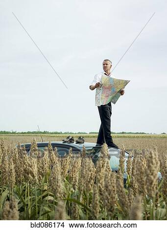 Picture - Caucasian businessman on top of car in field looking at map. Fotosearch